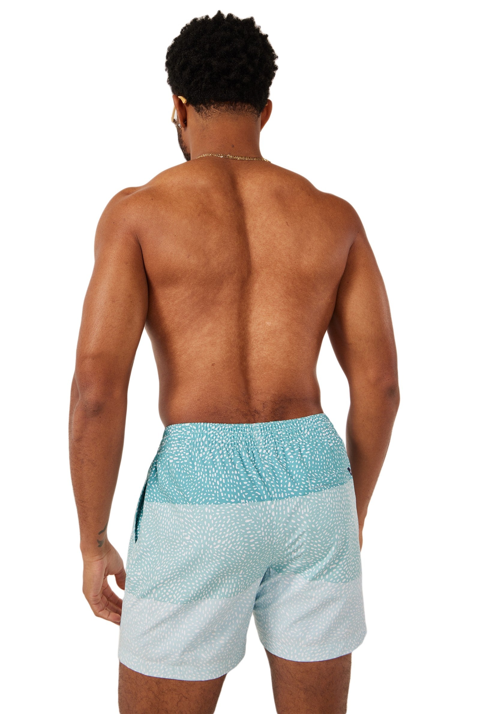  CHUBBIES The Whale Sharks 5.5 Inch