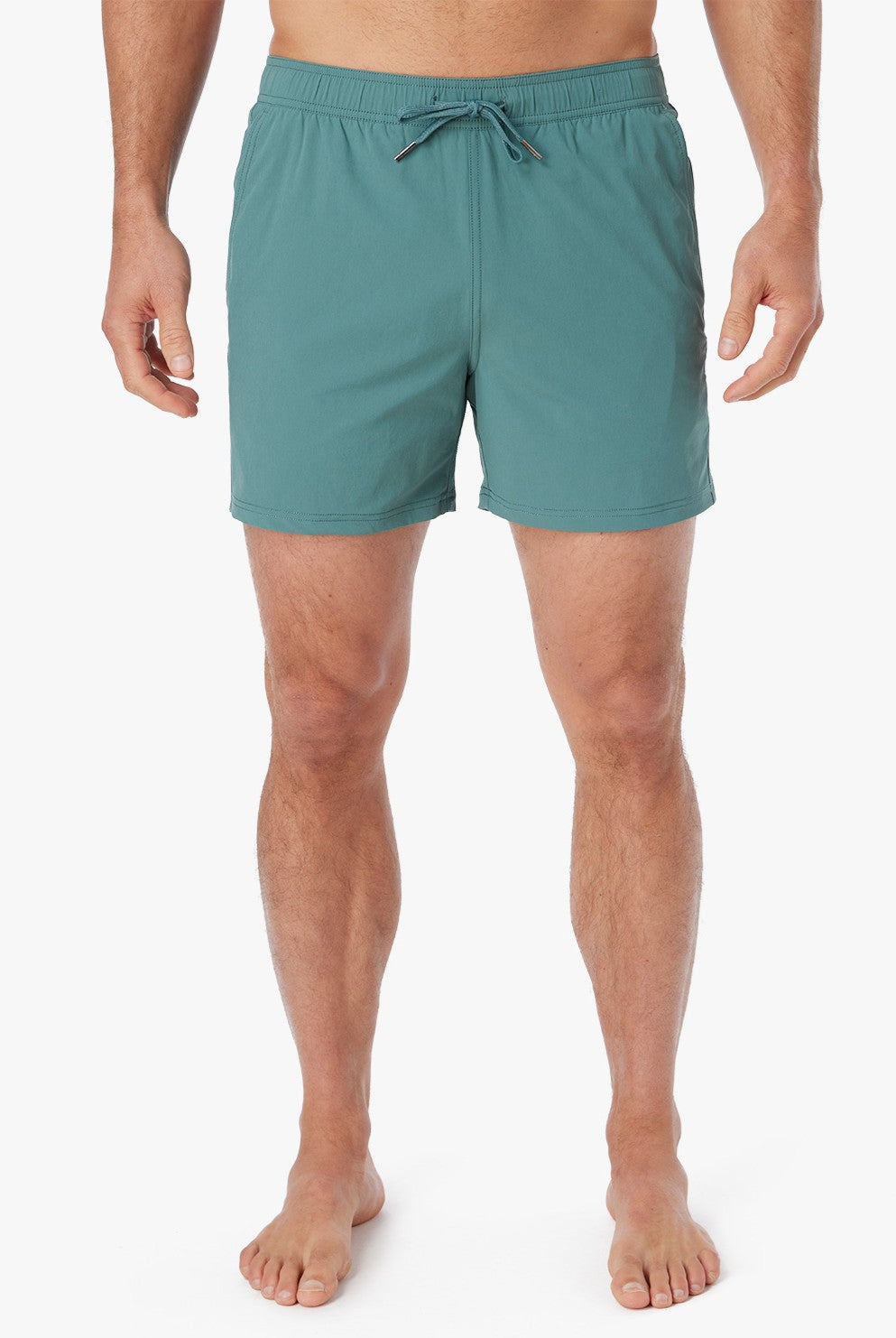  Fair Harbor The Bungalow Trunk 5-inch Inseam